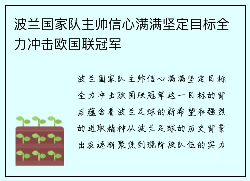 波兰国家队主帅信心满满坚定目标全力冲击欧国联冠军