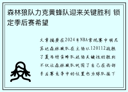森林狼队力克黄蜂队迎来关键胜利 锁定季后赛希望