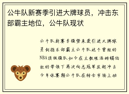 公牛队新赛季引进大牌球员，冲击东部霸主地位，公牛队现状